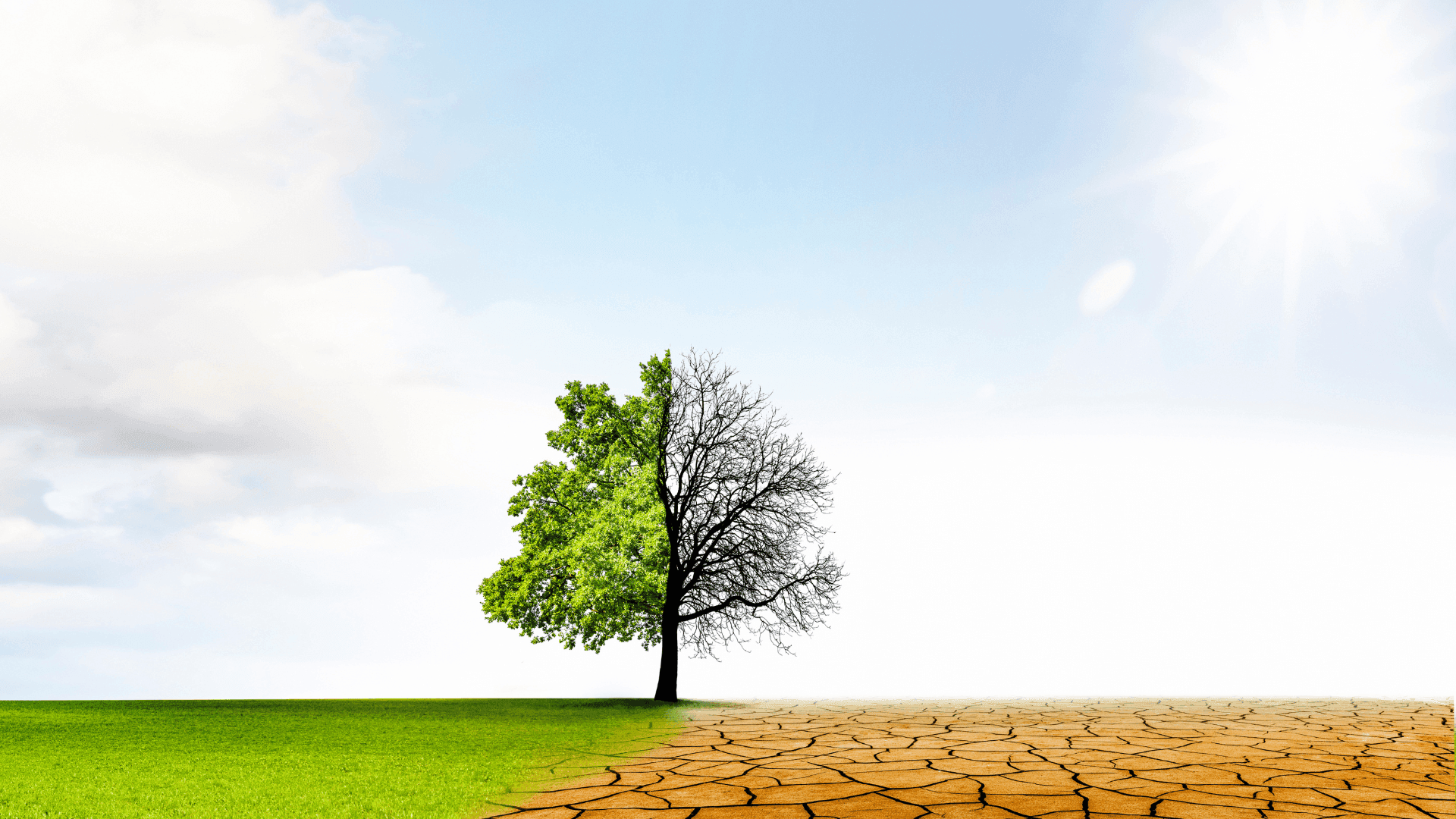 Interactions Within the Environment